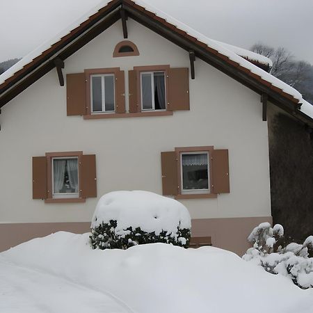 Ferienwohnung Haus Irene Todtnau Exterior foto