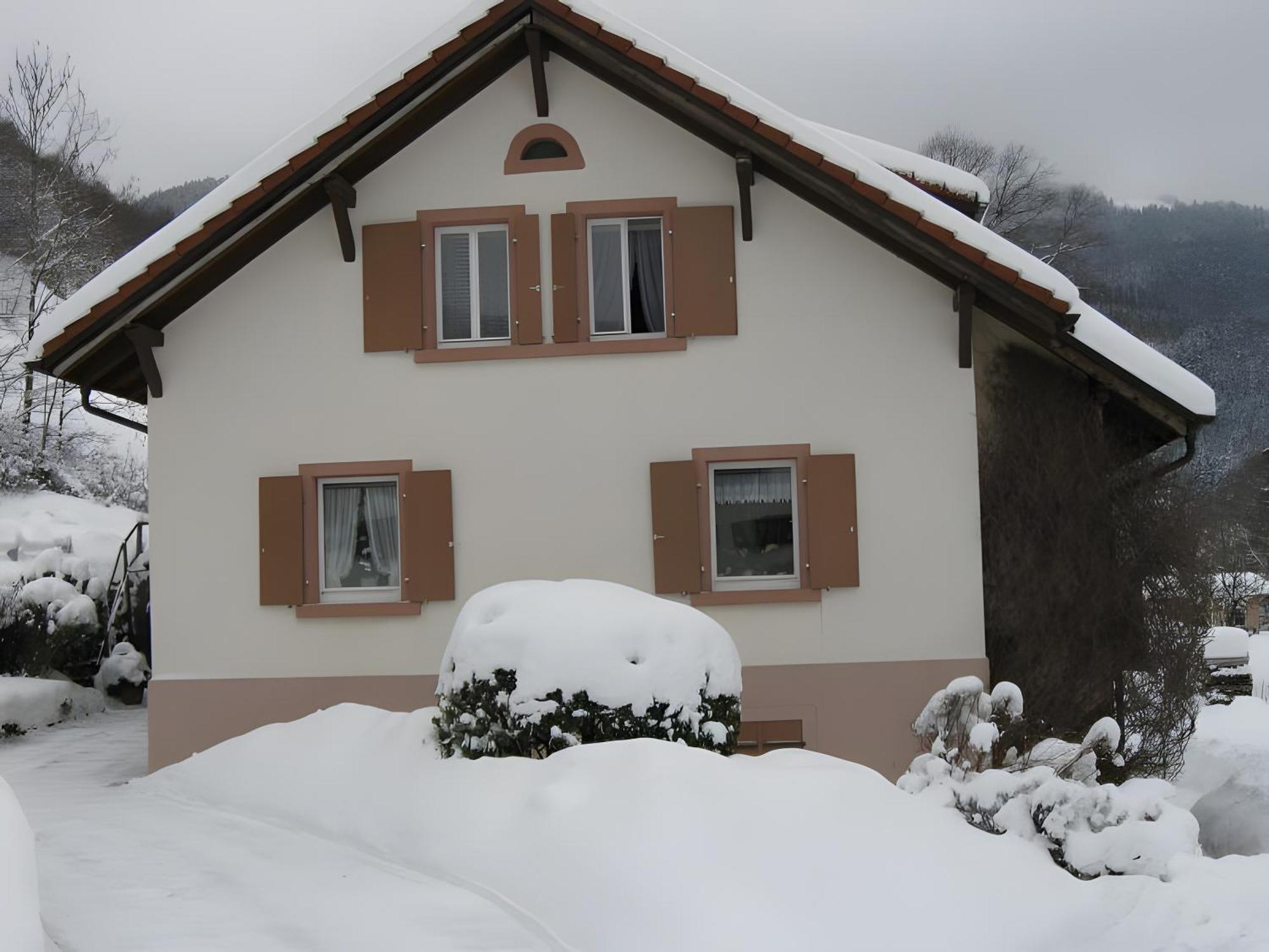 Ferienwohnung Haus Irene Todtnau Exterior foto
