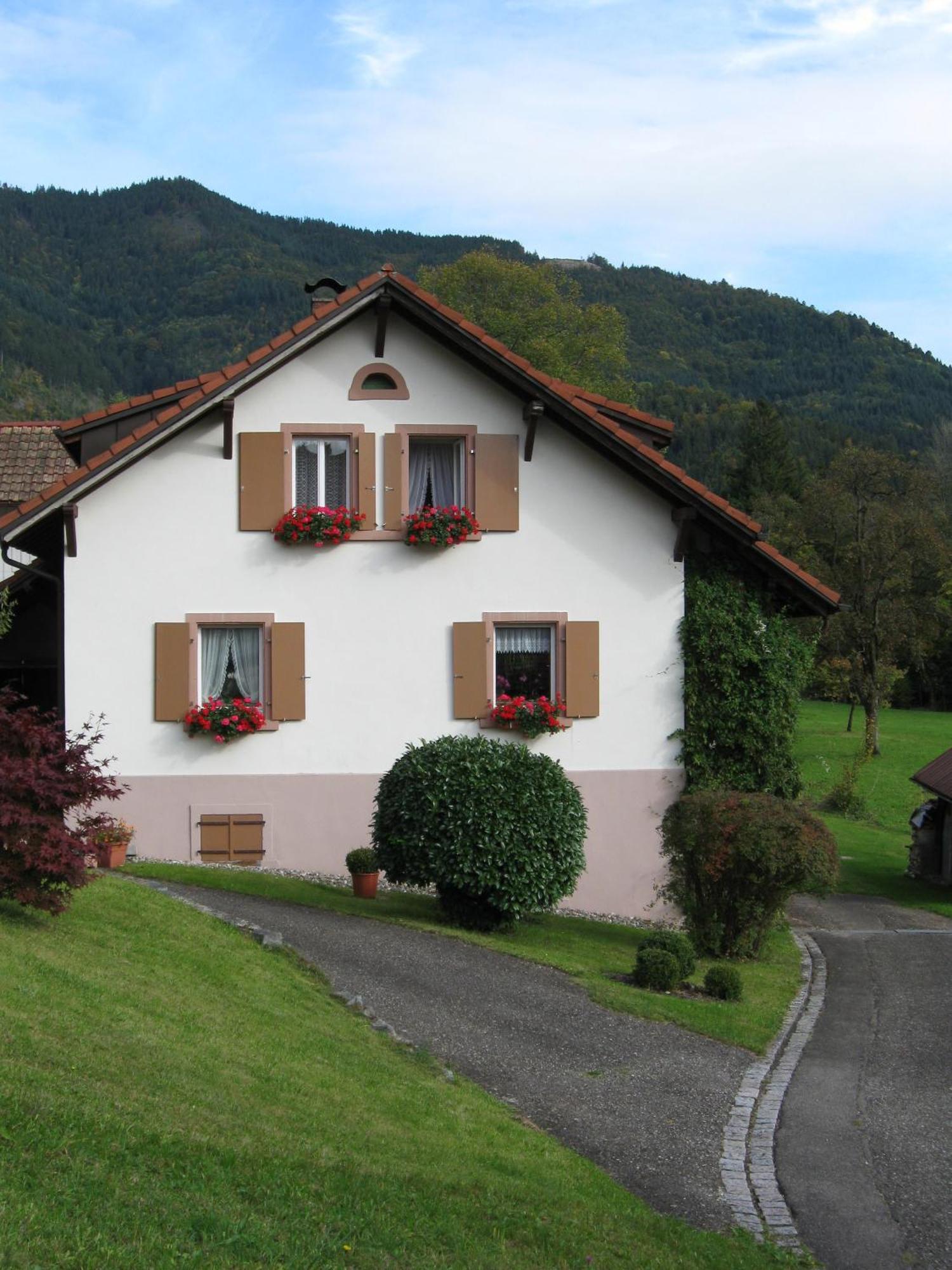 Ferienwohnung Haus Irene Todtnau Exterior foto